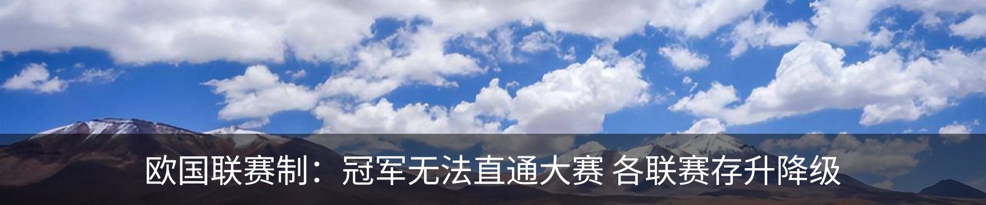 新闻动态