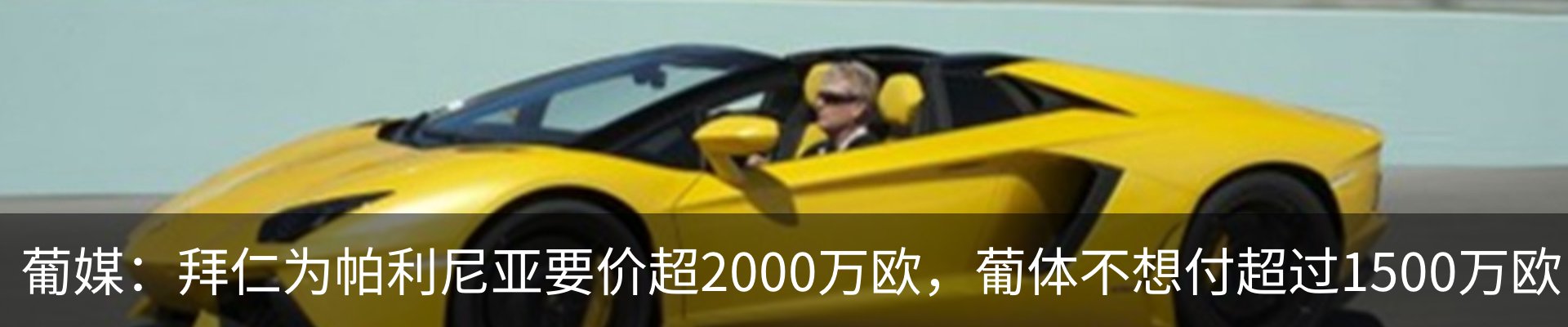 新闻动态